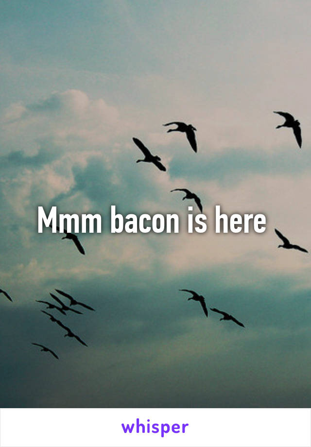 Mmm bacon is here 