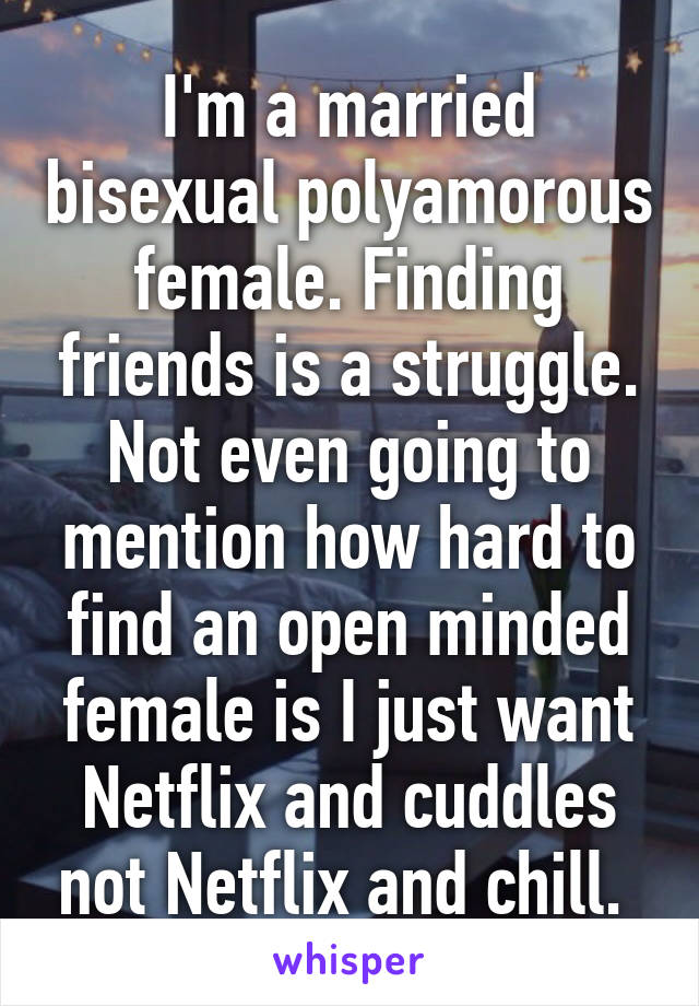 I'm a married bisexual polyamorous female. Finding friends is a struggle. Not even going to mention how hard to find an open minded female is I just want Netflix and cuddles not Netflix and chill. 