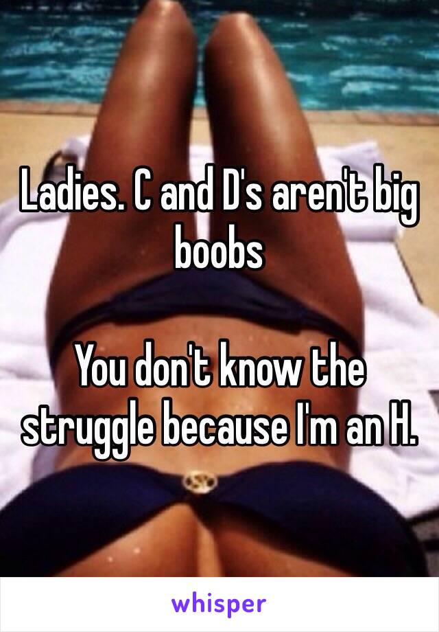 Ladies. C and D's aren't big boobs

You don't know the struggle because I'm an H.