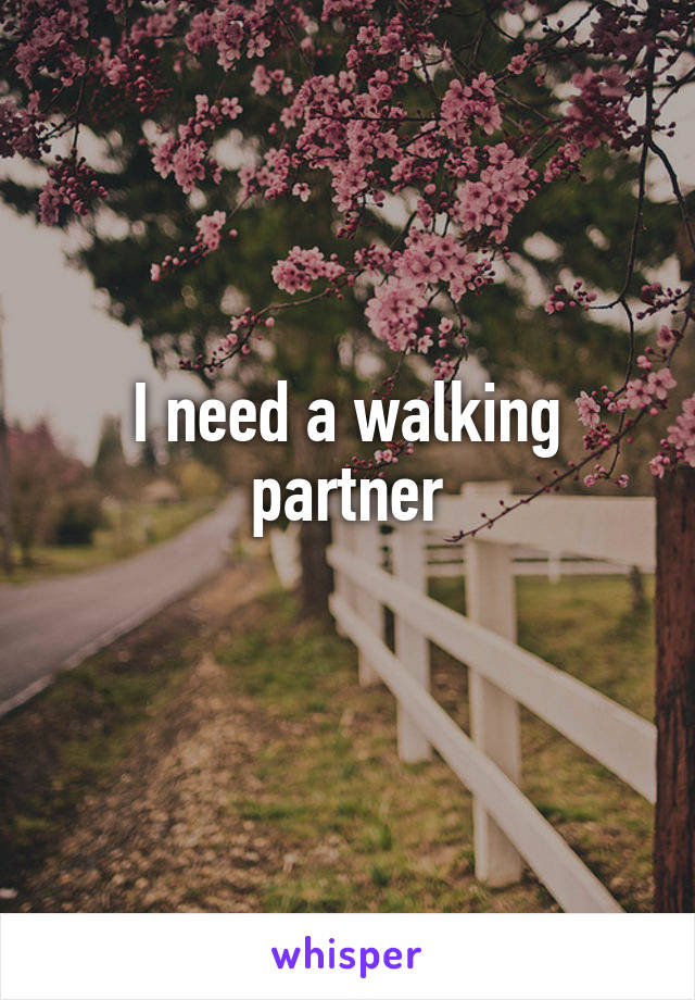 I need a walking partner
