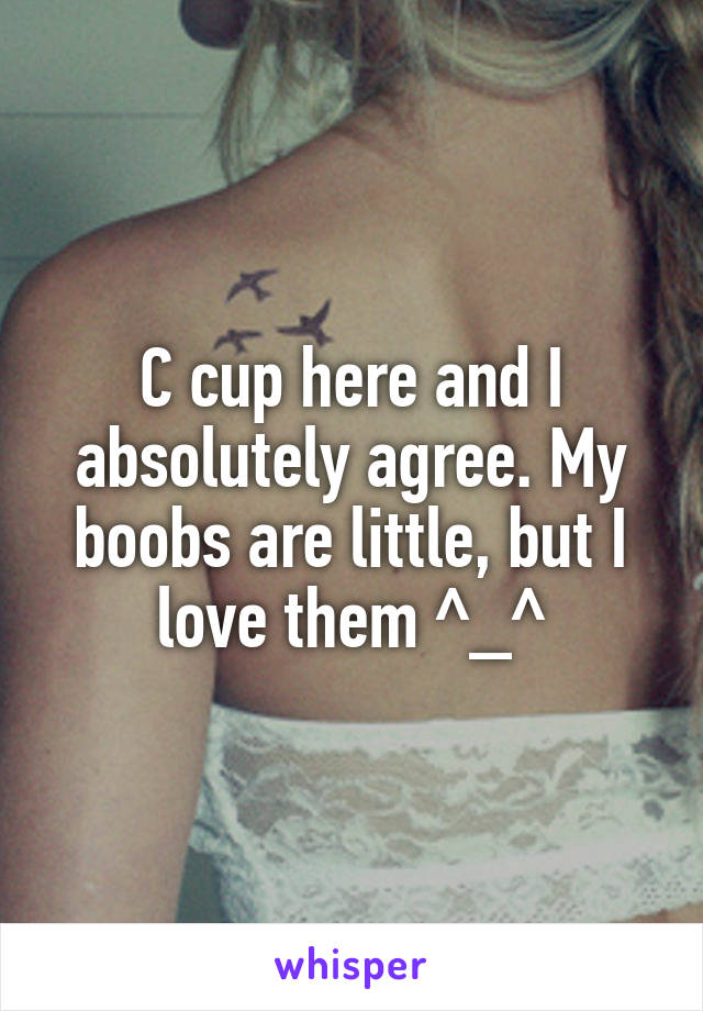 C cup here and I absolutely agree. My boobs are little, but I love them ^_^