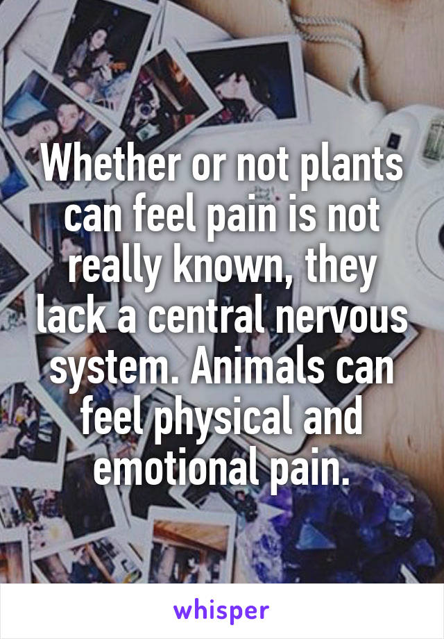 Whether or not plants can feel pain is not really known, they lack a central nervous system. Animals can feel physical and emotional pain.