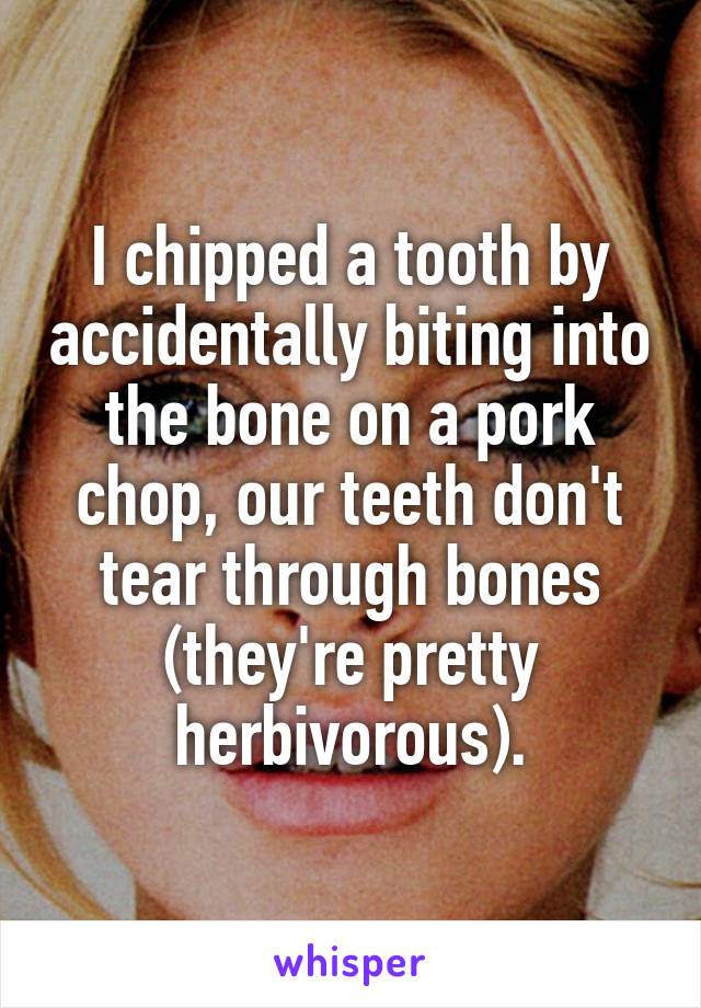 I chipped a tooth by accidentally biting into the bone on a pork chop, our teeth don't tear through bones (they're pretty herbivorous).