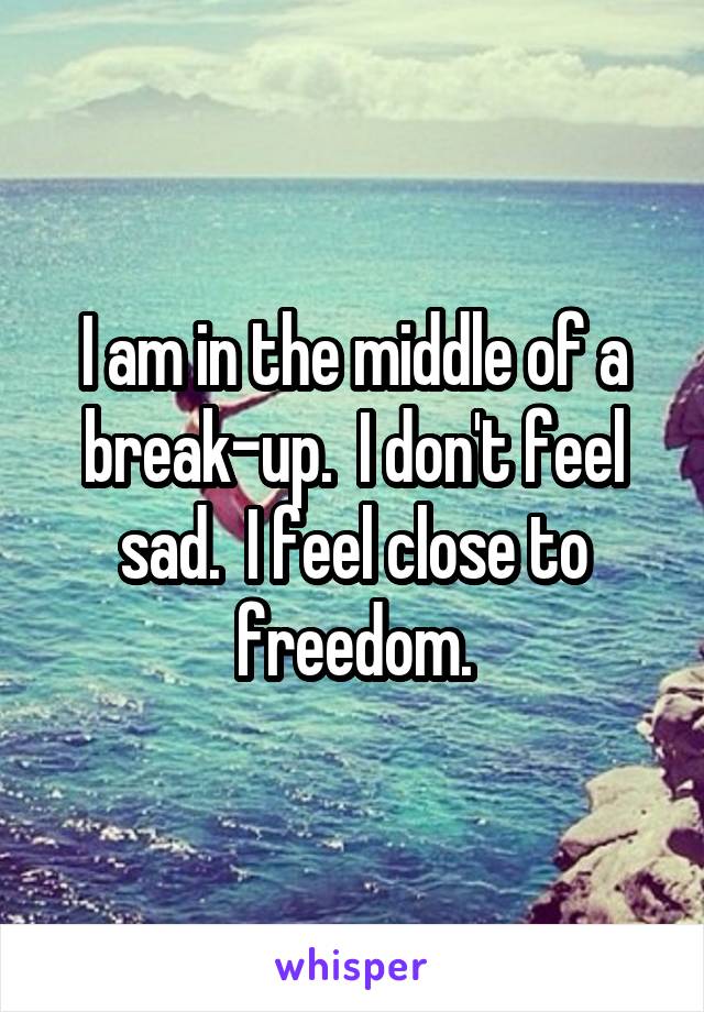 I am in the middle of a break-up.  I don't feel sad.  I feel close to freedom.