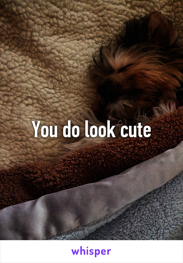 You do look cute