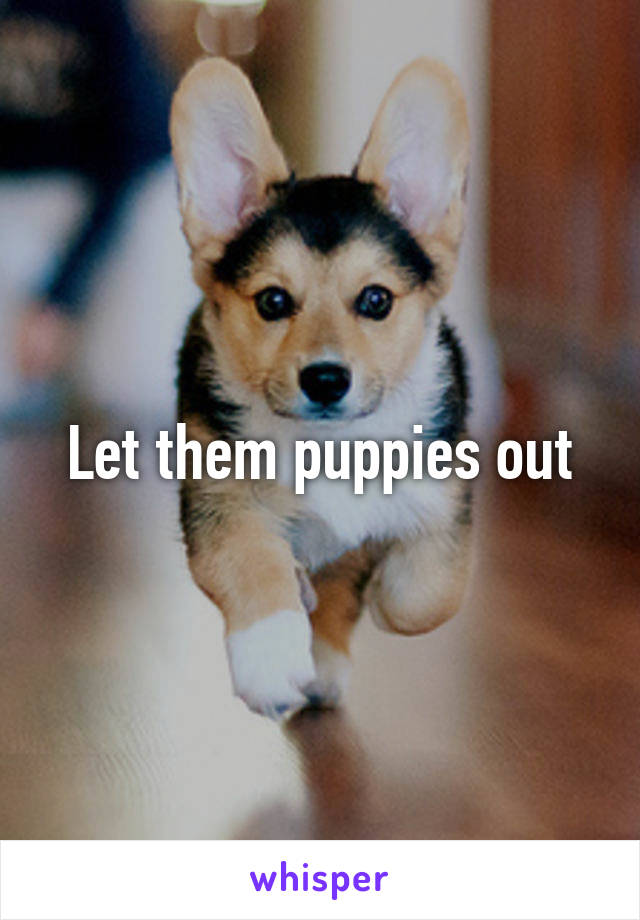 Let them puppies out