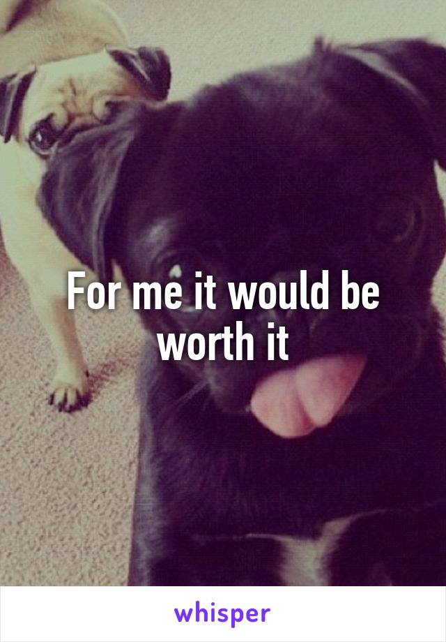 For me it would be worth it