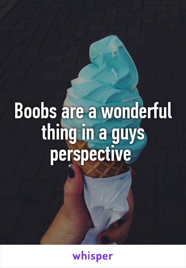 Boobs are a wonderful thing in a guys perspective 