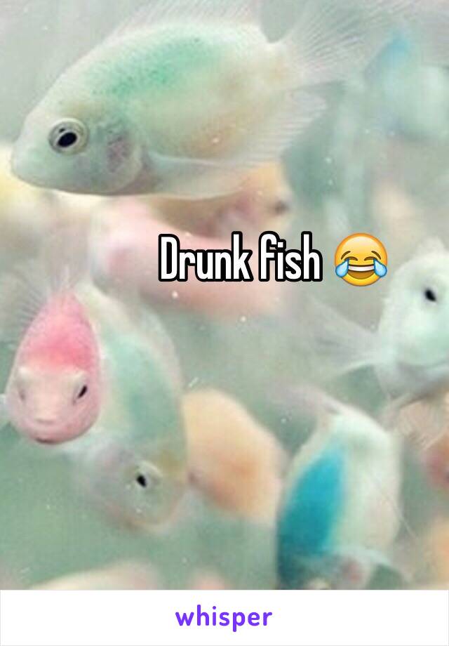 Drunk fish 😂