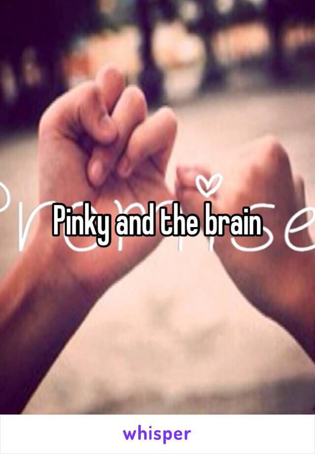 Pinky and the brain 