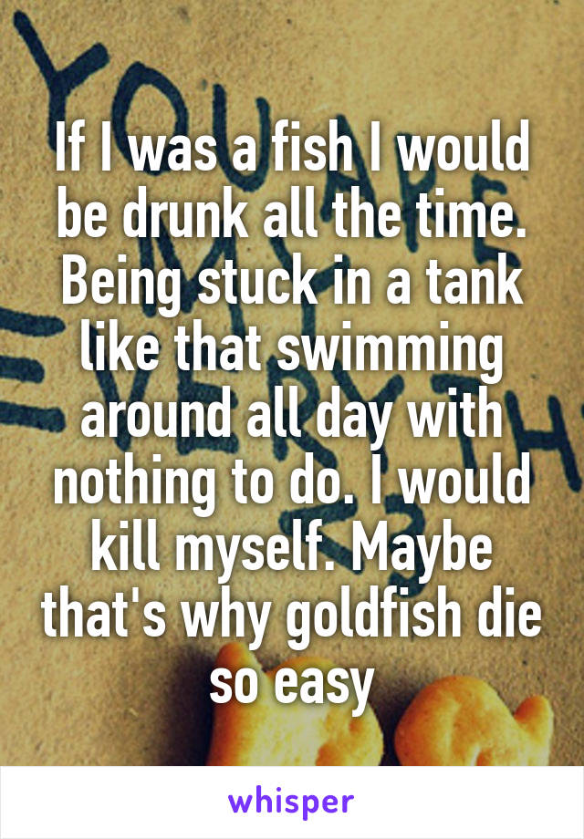 If I was a fish I would be drunk all the time. Being stuck in a tank like that swimming around all day with nothing to do. I would kill myself. Maybe that's why goldfish die so easy