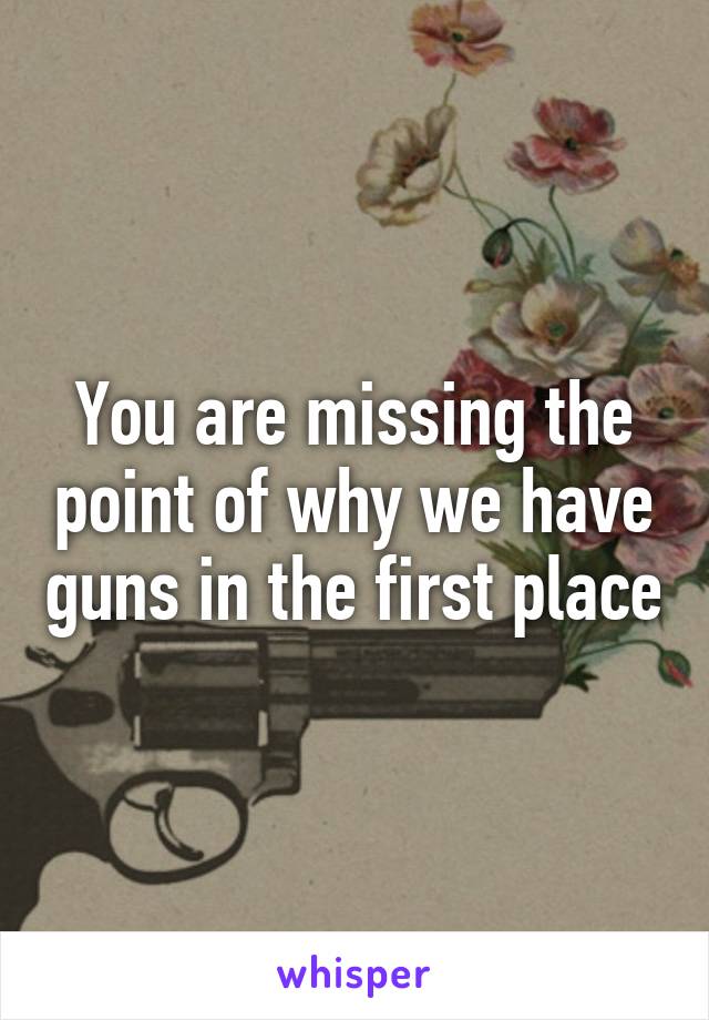 You are missing the point of why we have guns in the first place