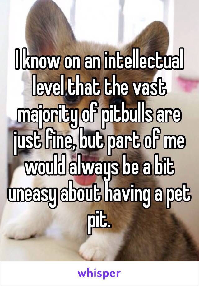 I know on an intellectual level that the vast majority of pitbulls are just fine, but part of me would always be a bit uneasy about having a pet pit.