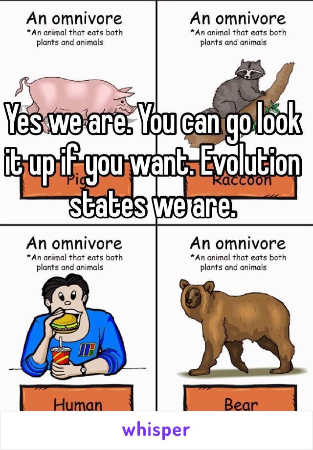 Yes we are. You can go look it up if you want. Evolution states we are.