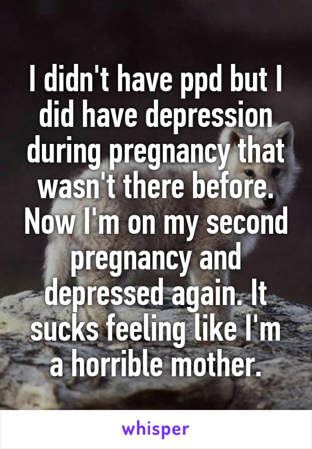 I didn't have ppd but I did have depression during pregnancy that wasn't there before. Now I'm on my second pregnancy and depressed again. It sucks feeling like I'm a horrible mother.