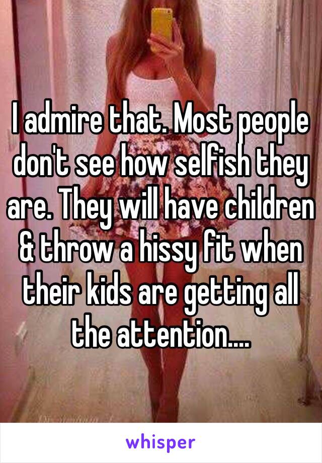 I admire that. Most people don't see how selfish they are. They will have children & throw a hissy fit when their kids are getting all the attention....