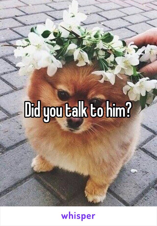 Did you talk to him?