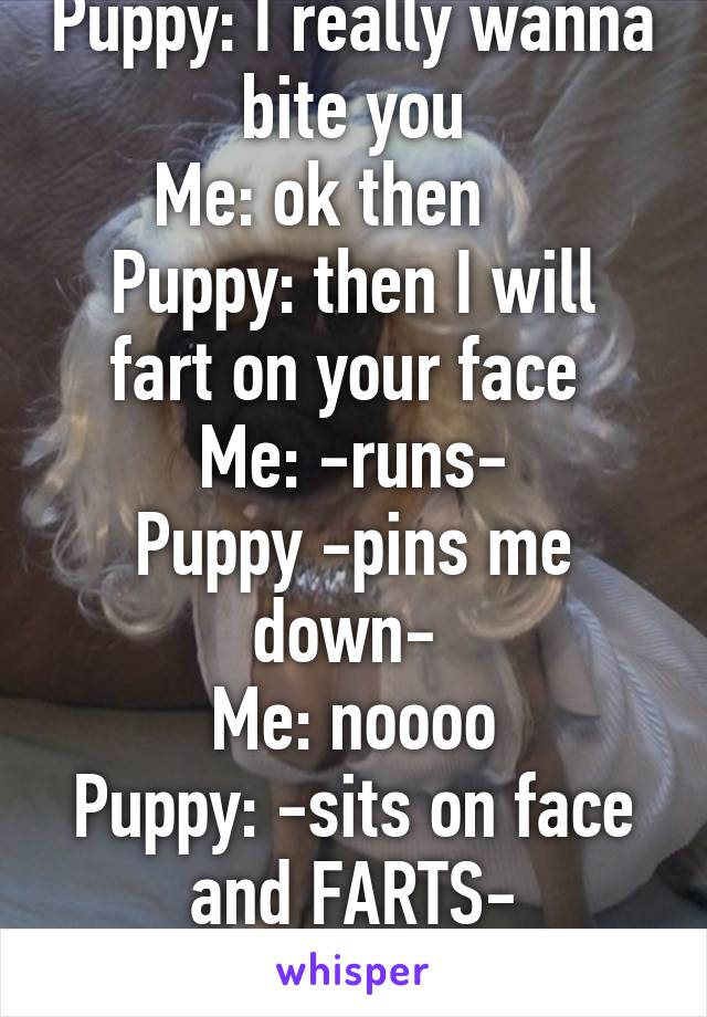 Puppy: I really wanna bite you
Me: ok then    
Puppy: then I will fart on your face 
Me: -runs-
Puppy -pins me down- 
Me: noooo
Puppy: -sits on face and FARTS-
