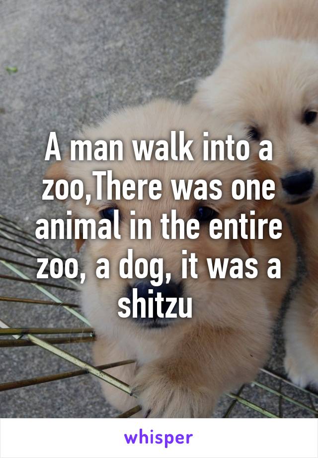 A man walk into a zoo,There was one animal in the entire zoo, a dog, it was a shitzu 