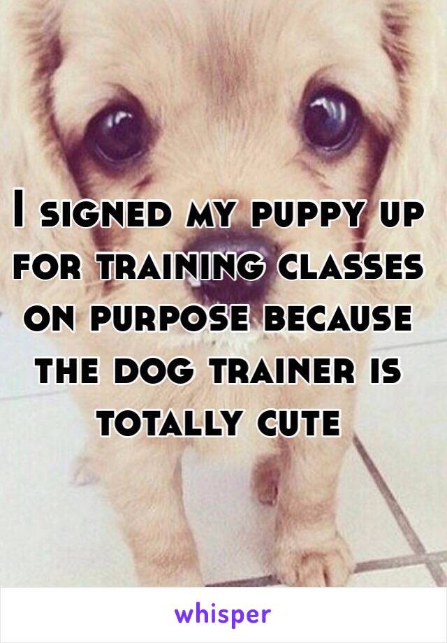 I signed my puppy up for training classes on purpose because the dog trainer is totally cute