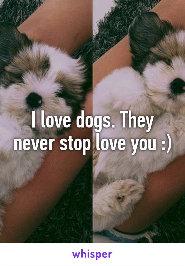 I love dogs. They never stop love you :)