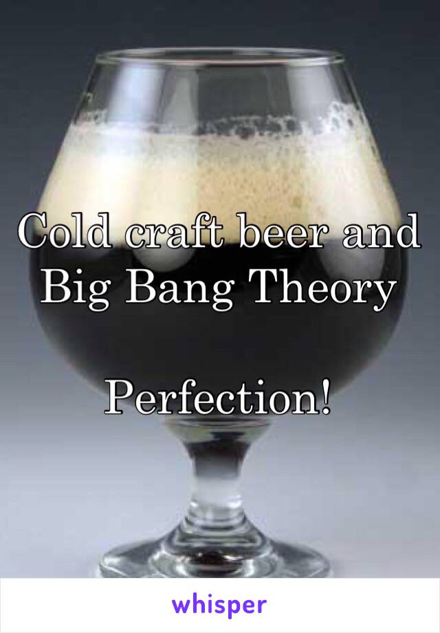 Cold craft beer and Big Bang Theory

Perfection!