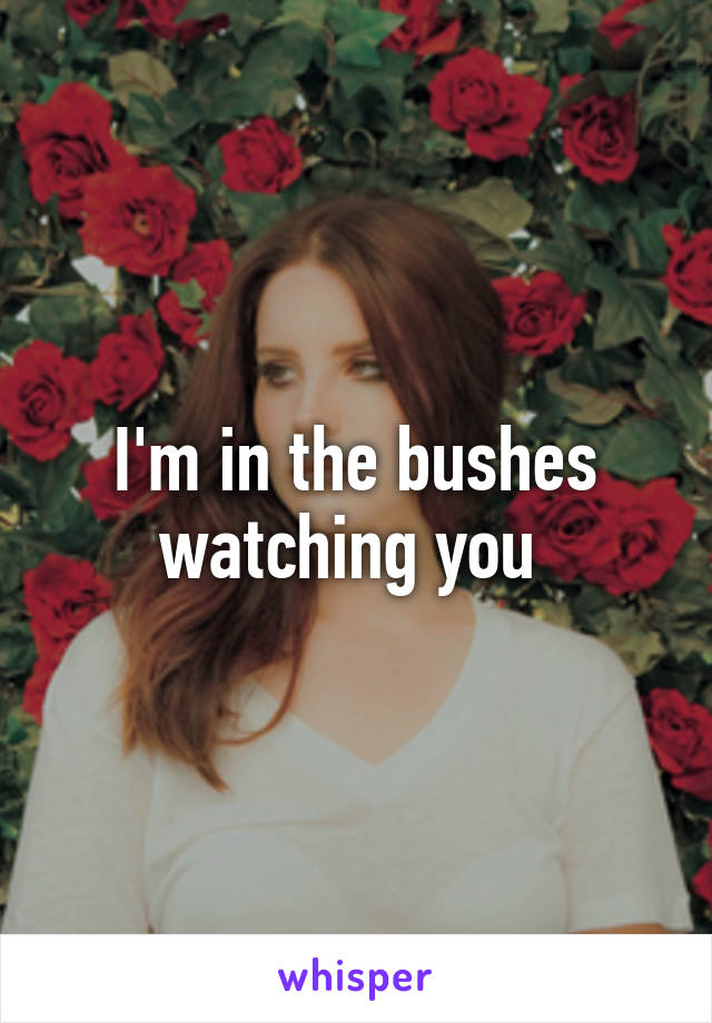 I'm in the bushes watching you 