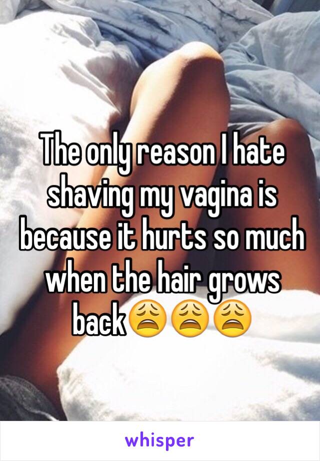 The only reason I hate shaving my vagina is because it hurts so much when the hair grows back😩😩😩