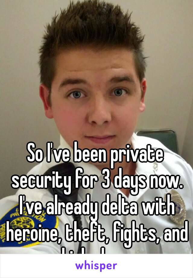 So I've been private security for 3 days now. I've already delta with heroine, theft, fights, and vehicle damage