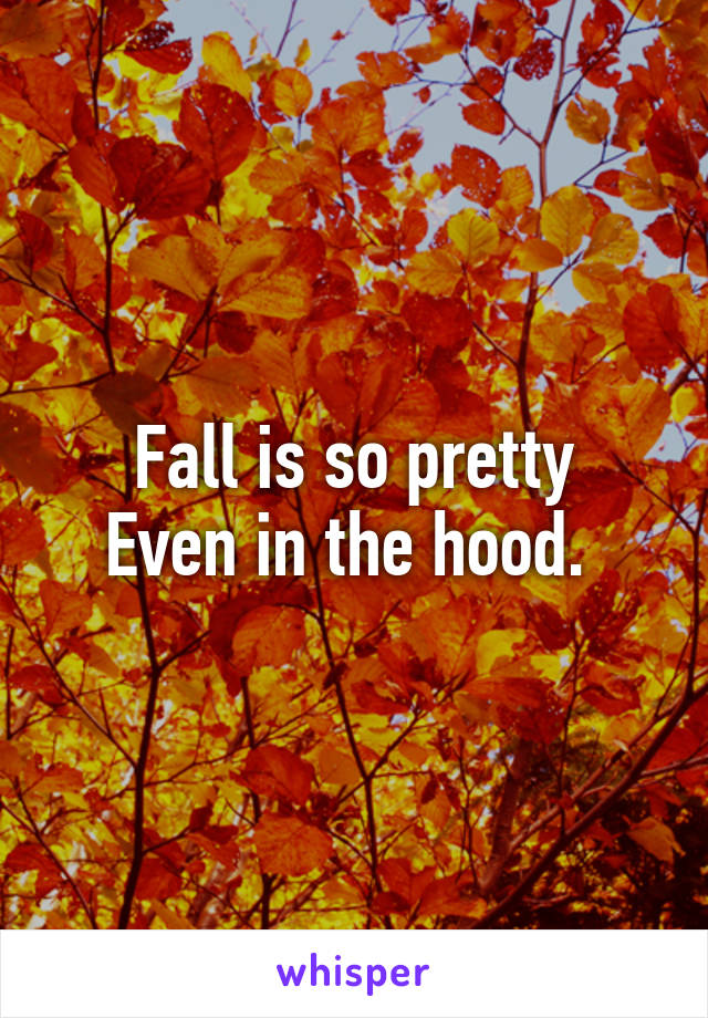 Fall is so pretty
Even in the hood. 