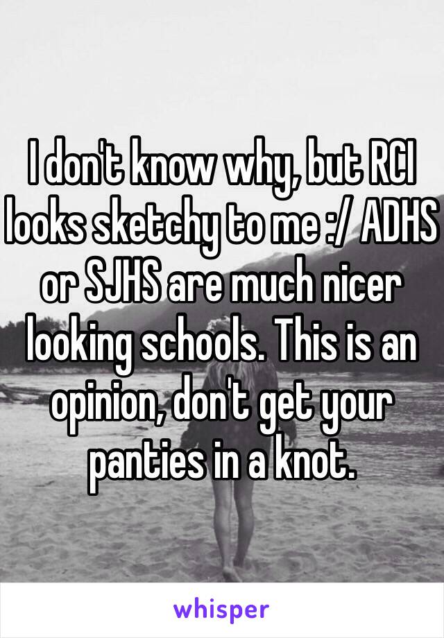 I don't know why, but RCI looks sketchy to me :/ ADHS or SJHS are much nicer looking schools. This is an opinion, don't get your panties in a knot.