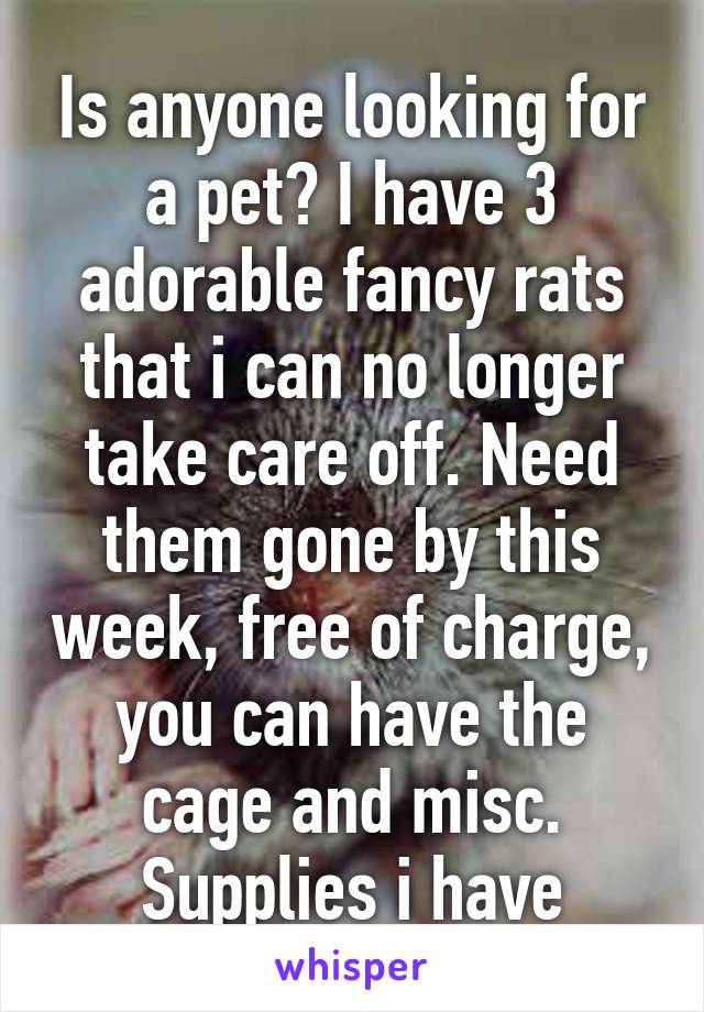 Is anyone looking for a pet? I have 3 adorable fancy rats that i can no longer take care off. Need them gone by this week, free of charge, you can have the cage and misc. Supplies i have