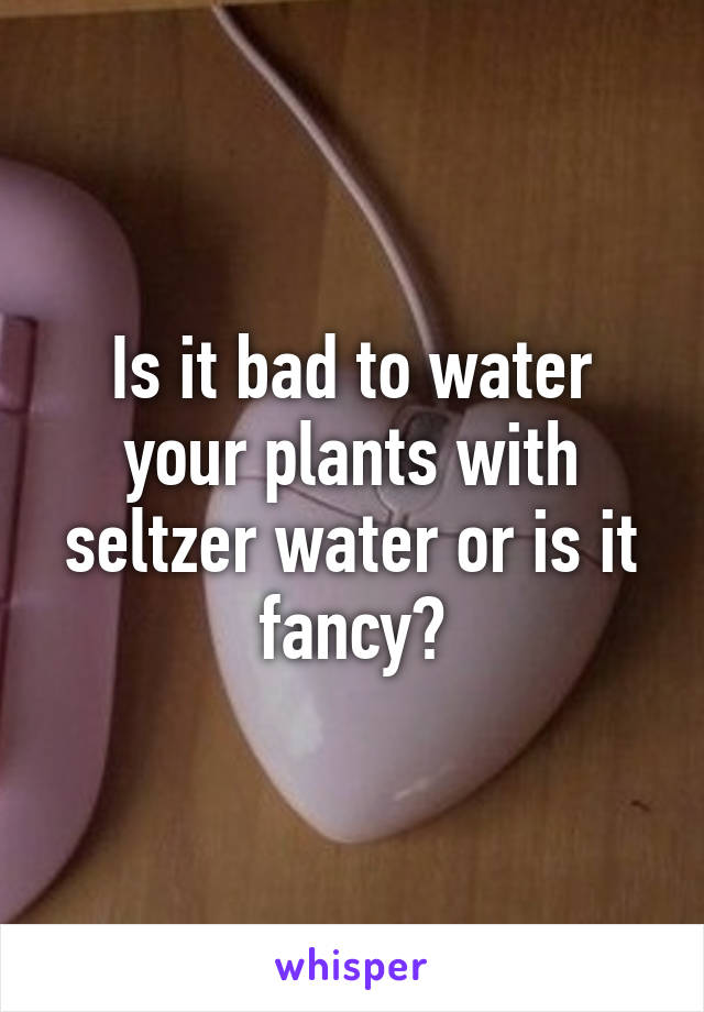 Is it bad to water your plants with seltzer water or is it fancy?