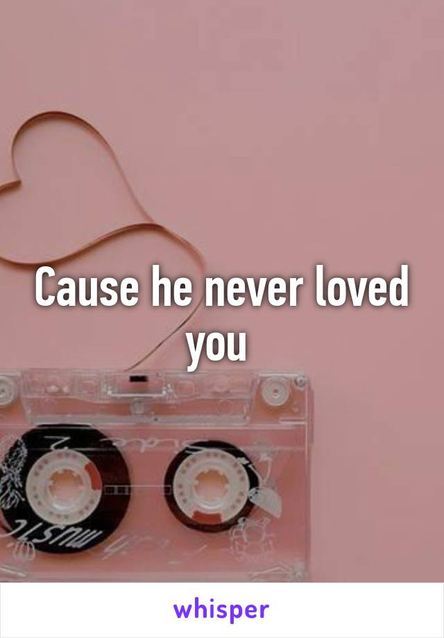 Cause he never loved you 