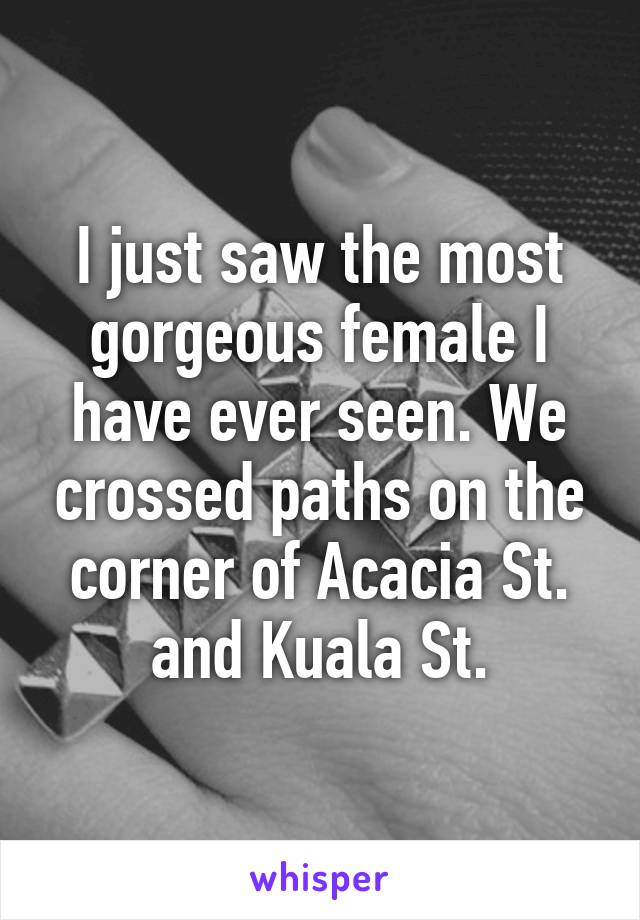 I just saw the most gorgeous female I have ever seen. We crossed paths on the corner of Acacia St. and Kuala St.