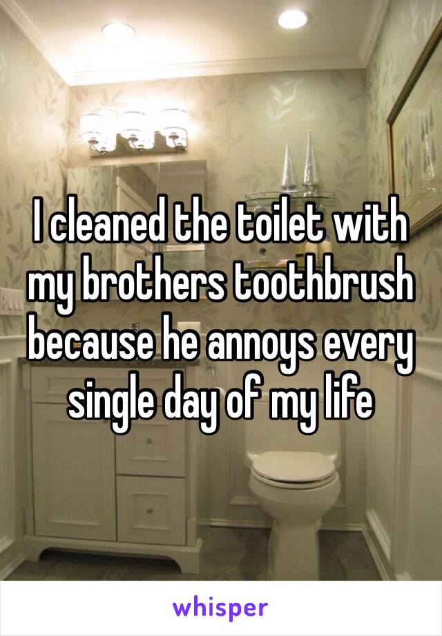 I cleaned the toilet with my brothers toothbrush because he annoys every single day of my life