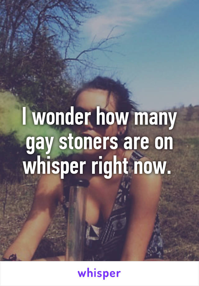 I wonder how many gay stoners are on whisper right now. 