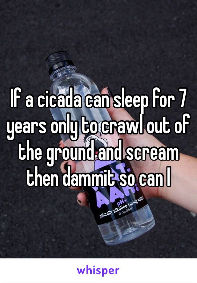 If a cicada can sleep for 7 years only to crawl out of the ground and scream then dammit so can I