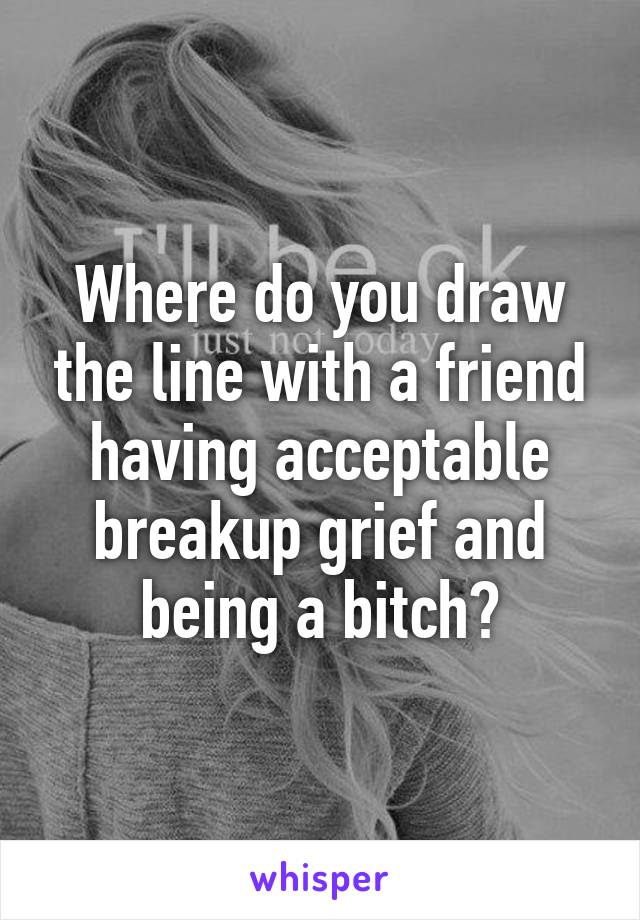 Where do you draw the line with a friend having acceptable breakup grief and being a bitch?