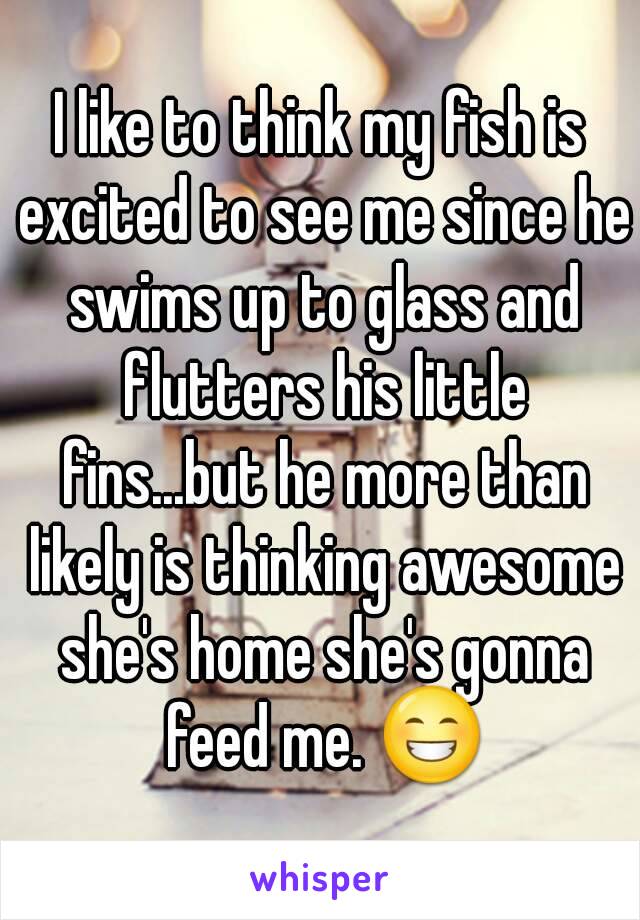 I like to think my fish is excited to see me since he swims up to glass and flutters his little fins...but he more than likely is thinking awesome she's home she's gonna feed me. 😁