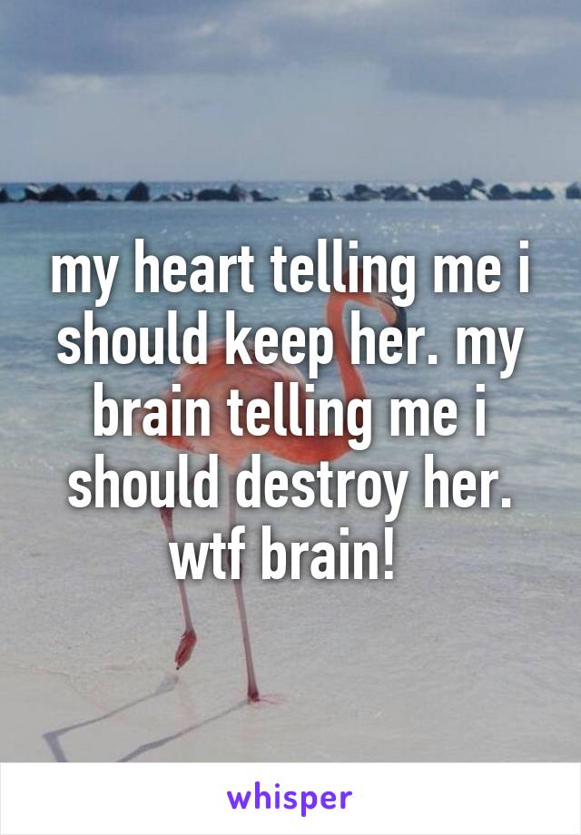 my heart telling me i should keep her. my brain telling me i should destroy her. wtf brain! 