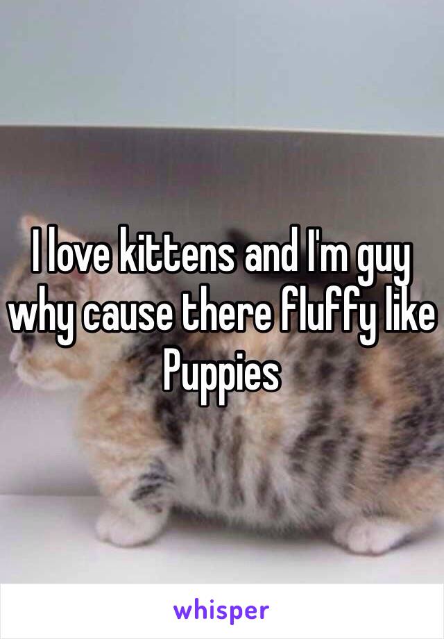 I love kittens and I'm guy why cause there fluffy like Puppies 