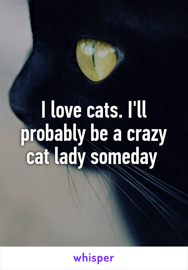 I love cats. I'll probably be a crazy cat lady someday 