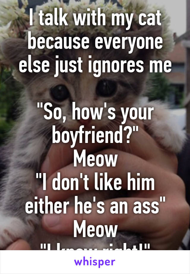 I talk with my cat because everyone else just ignores me

"So, how's your boyfriend?"
Meow
"I don't like him either he's an ass"
Meow
"I know right!"