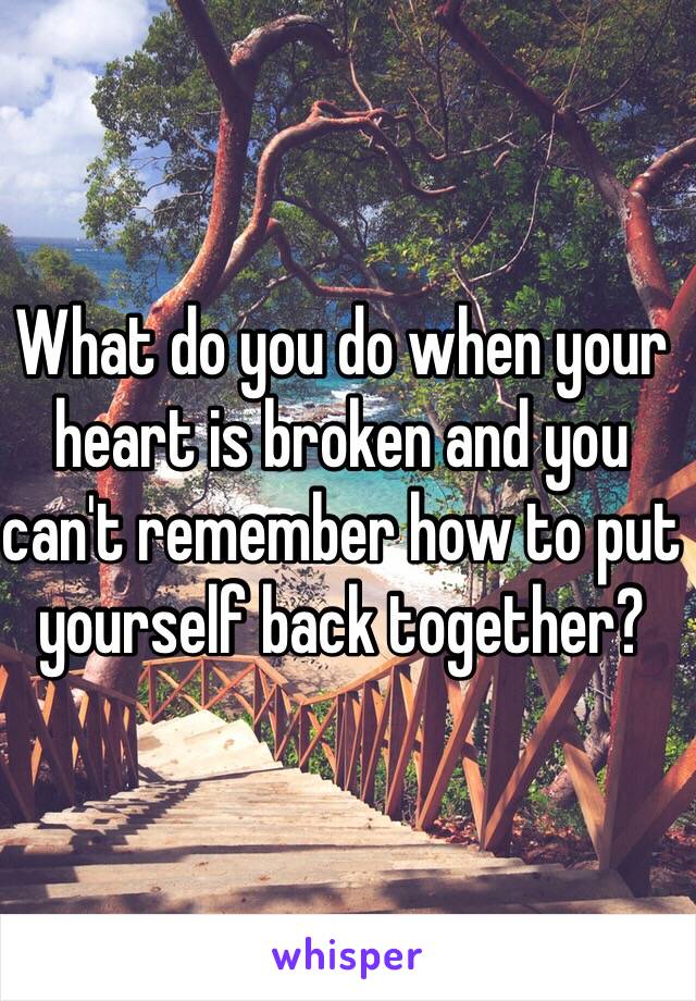 What do you do when your heart is broken and you can't remember how to put yourself back together?