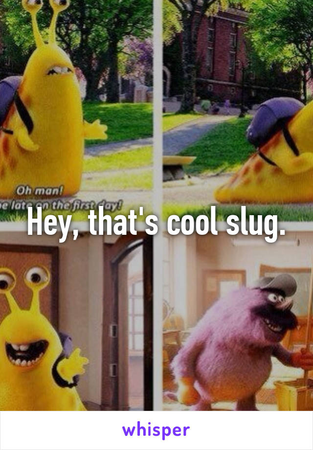 Hey, that's cool slug.