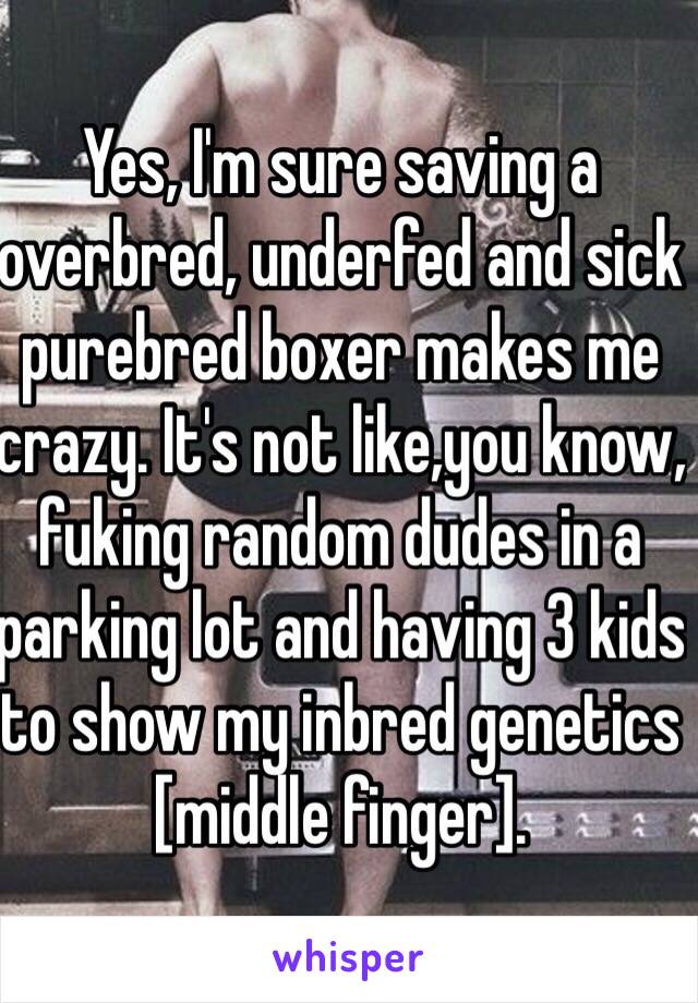 Yes, I'm sure saving a overbred, underfed and sick purebred boxer makes me crazy. It's not like,you know, fuking random dudes in a parking lot and having 3 kids  to show my inbred genetics [middle finger].