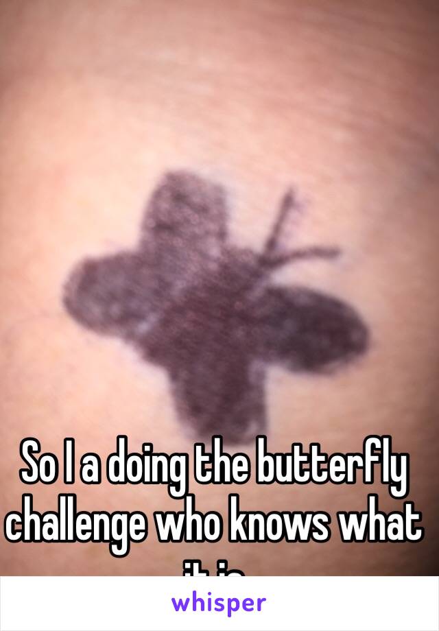 So I a doing the butterfly challenge who knows what it is
