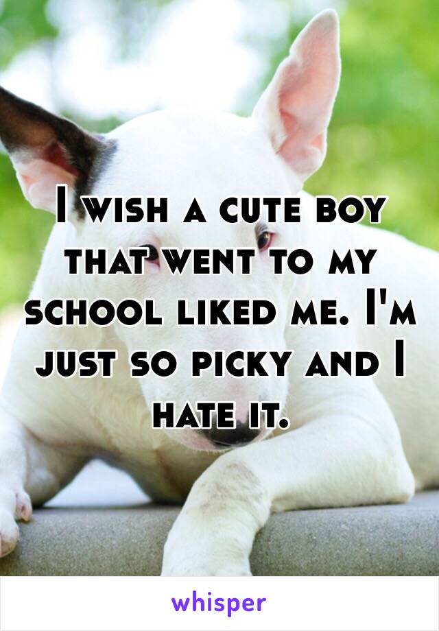 I wish a cute boy that went to my school liked me. I'm just so picky and I hate it.