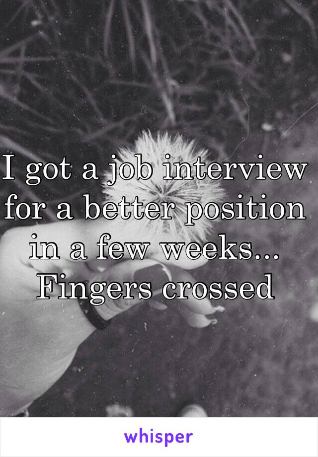 I got a job interview for a better position in a few weeks... Fingers crossed 
